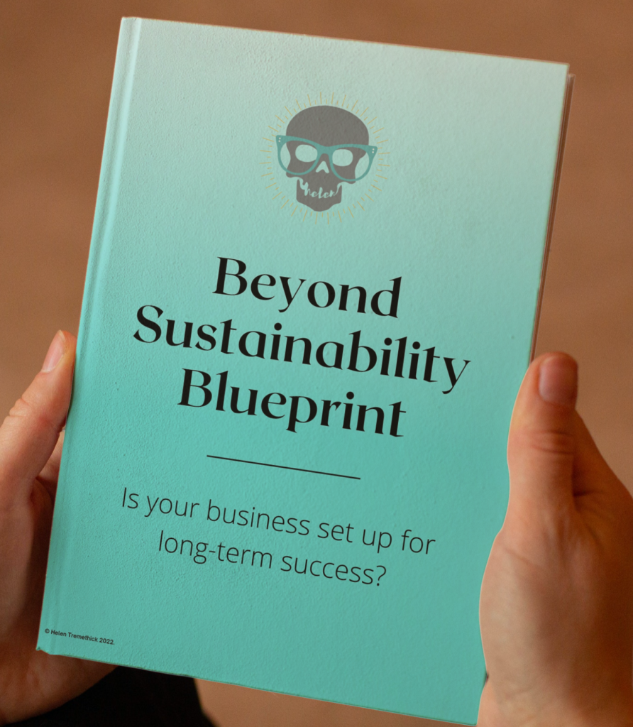 two hand holding a book entitled "Beyond Sustainability Blueprint"
