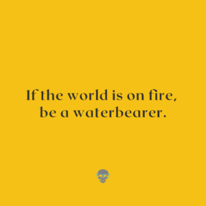 When The World Is On Fire, Bring Water